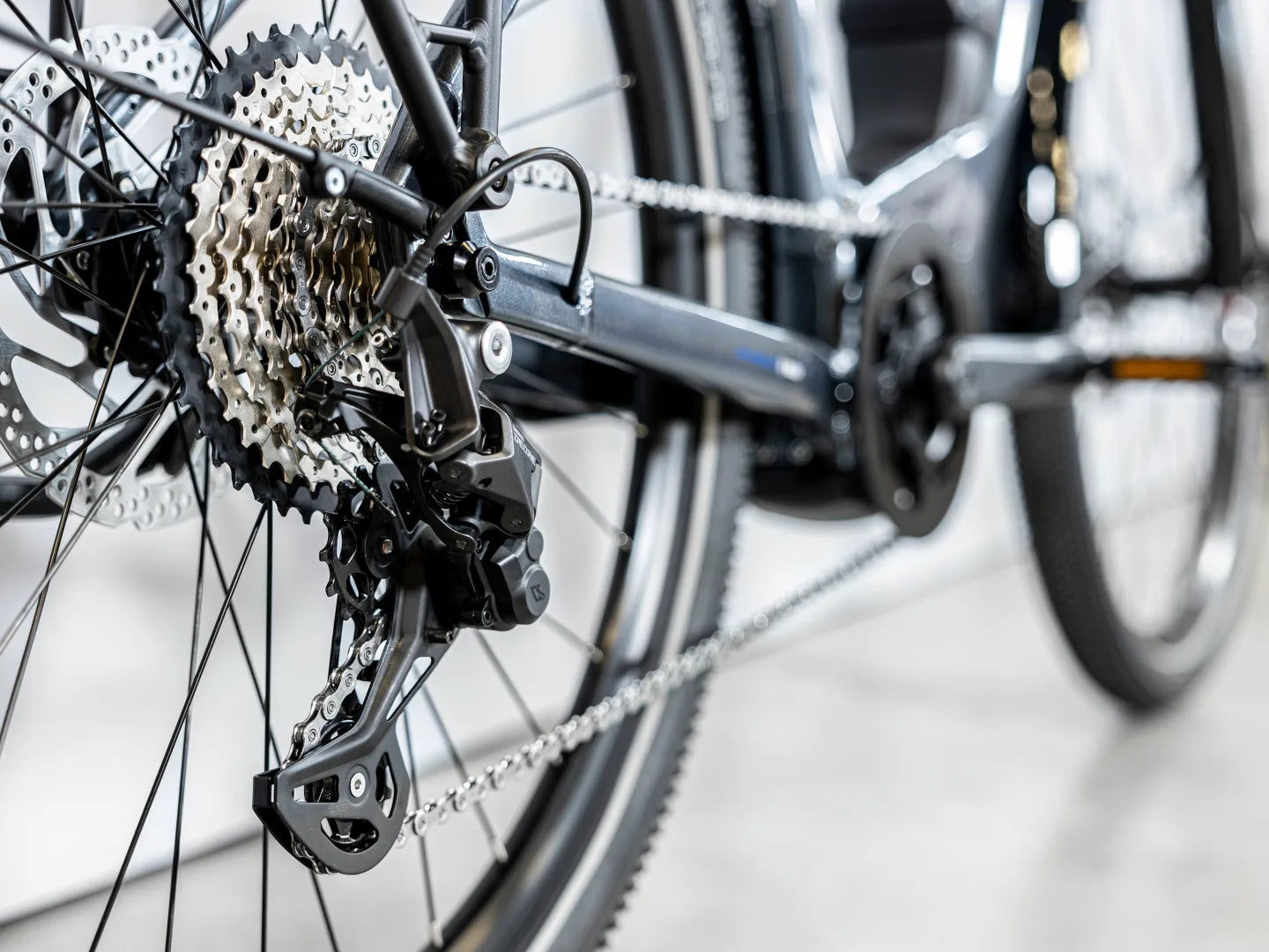 Trek Allant+ 6 Lowstep