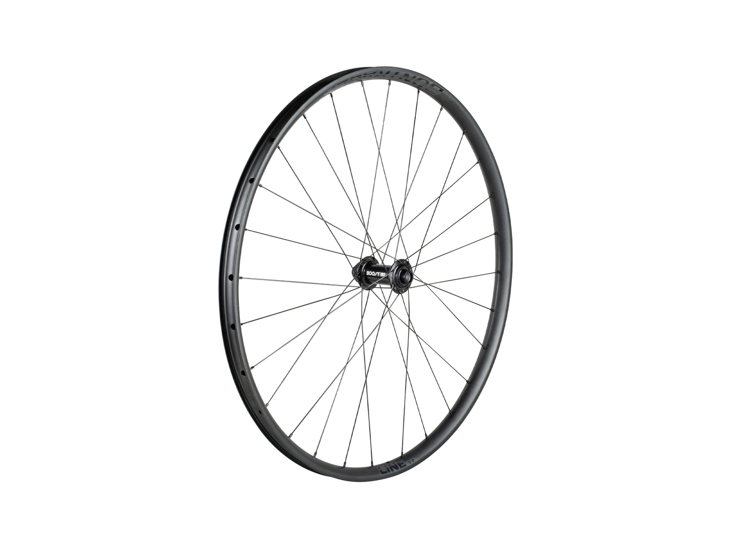 Bontrager Line 30 Centerlock TLR Boost 29" MTB Front