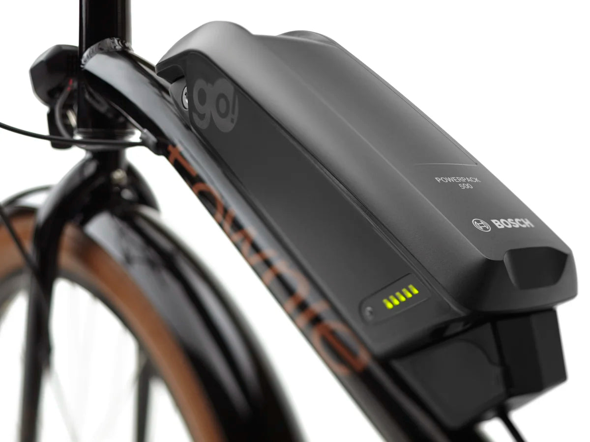 Electra Townie Go! 5i EQ Step-Over