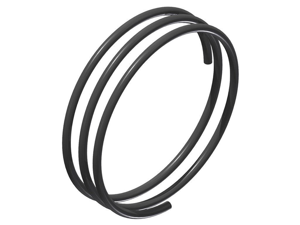 DT SWISS DT Spare part SPRING RATCHET EXP