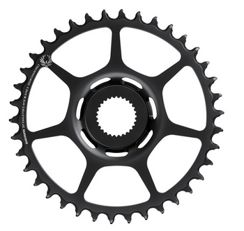 SRAM Chainring Direct Mount (Bosch) Singlespeed