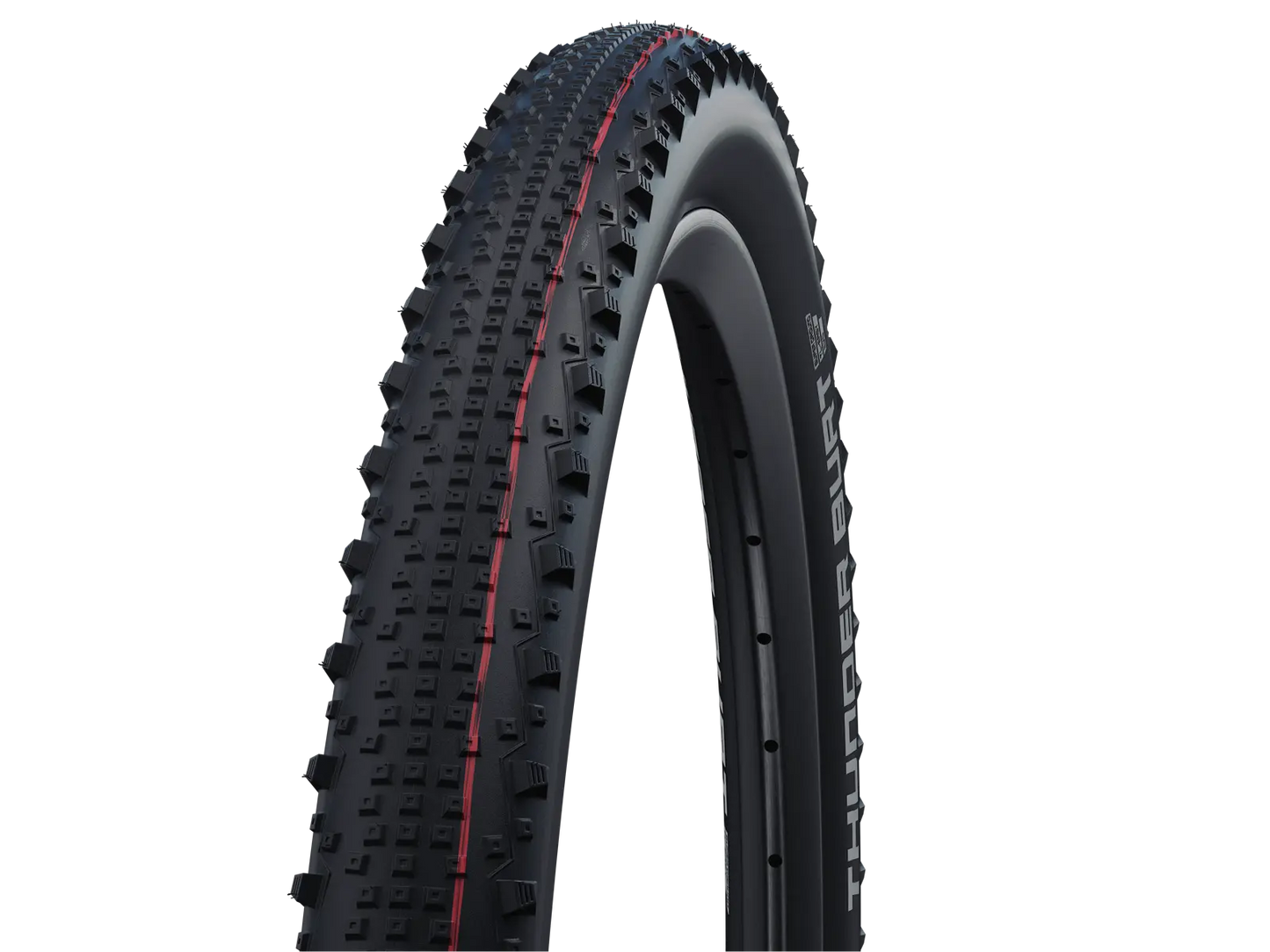 SCHWALBE Thunder Burt Folding tire 29" x 2,10"