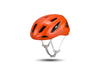 Specialized Search