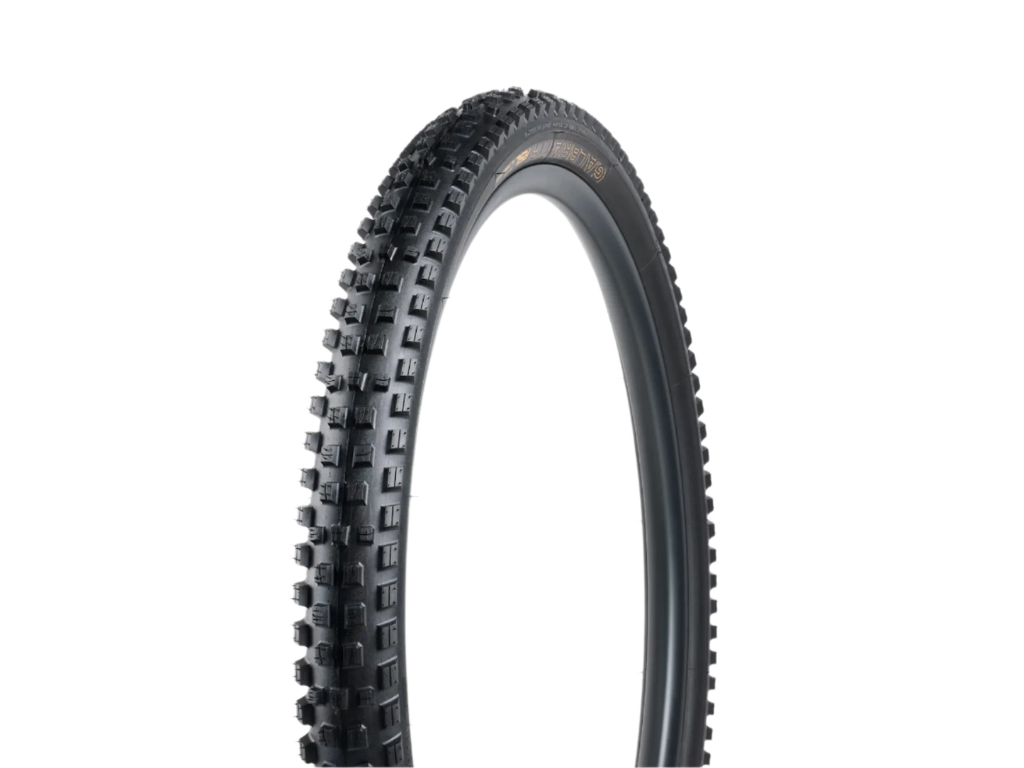 Bontrager Galbraith RSL SE TLR MTB Tire