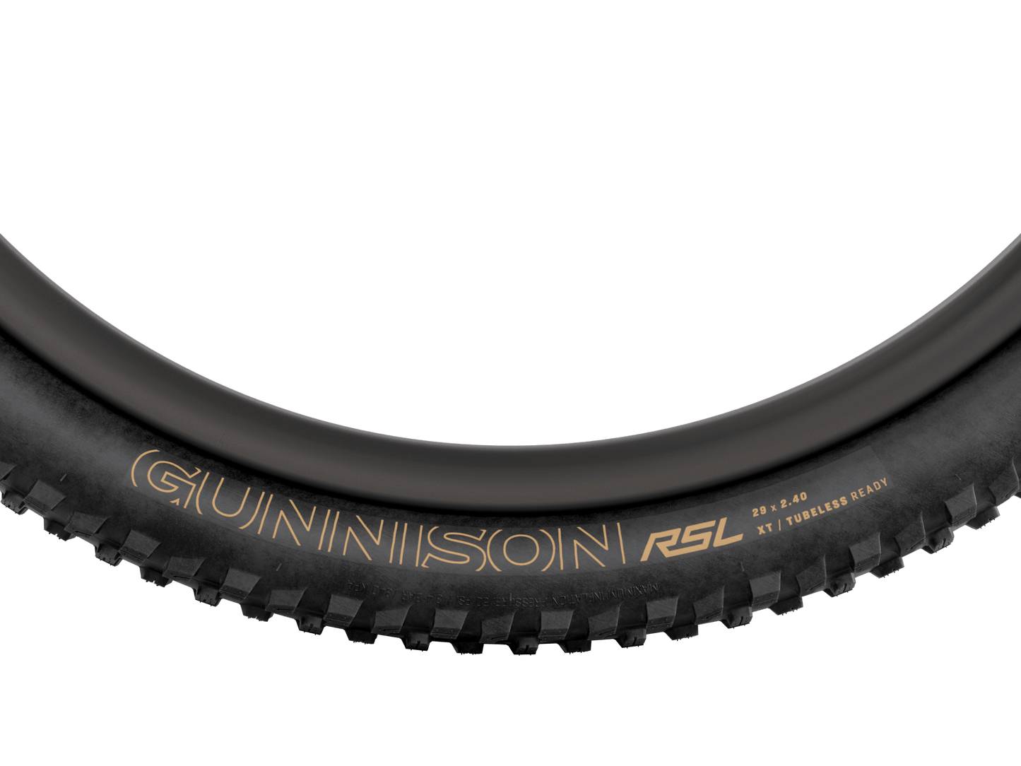 Bontrager Gunnison RSL XT TLR MTB Tire