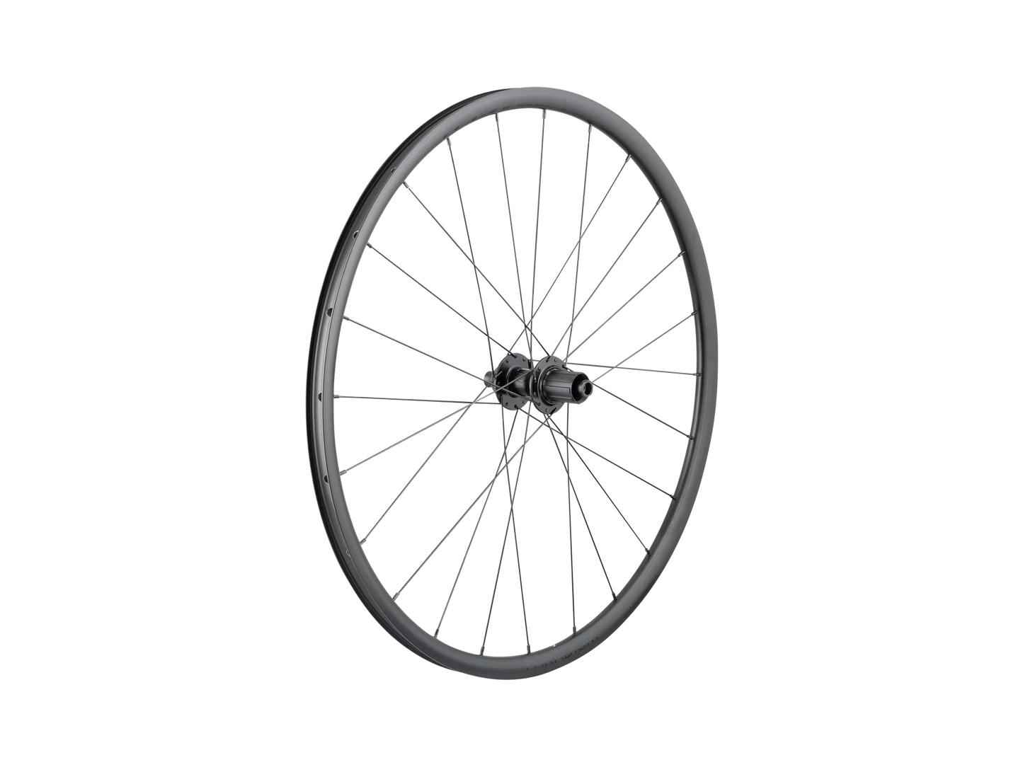 Bontrager Paradigm SL Centerlock Disc 24H Black Nipples 700c Road Wheel