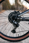 Trek Powerfly FS+ 4 Gen 4 2025