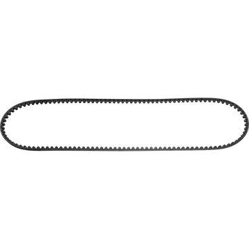 Specialized Como Gates Carbon Belt 122T