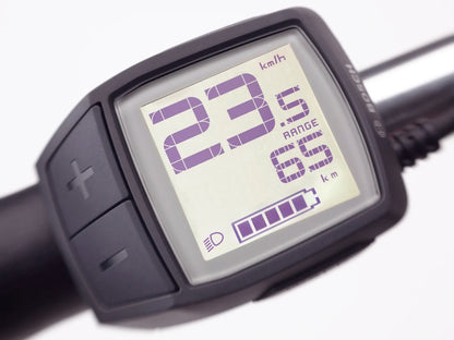 Electra Townie Commute Go! 5i EQ Step-Over