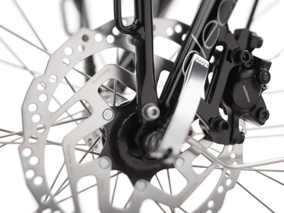 Electra Townie Commute Go! 5i EQ Step-Over