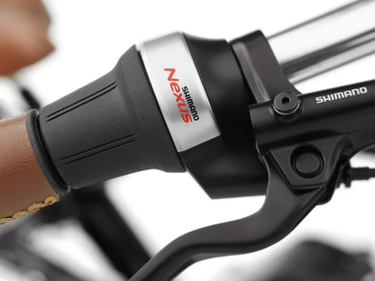 Electra Townie Commute Go! 5i EQ Step-Over