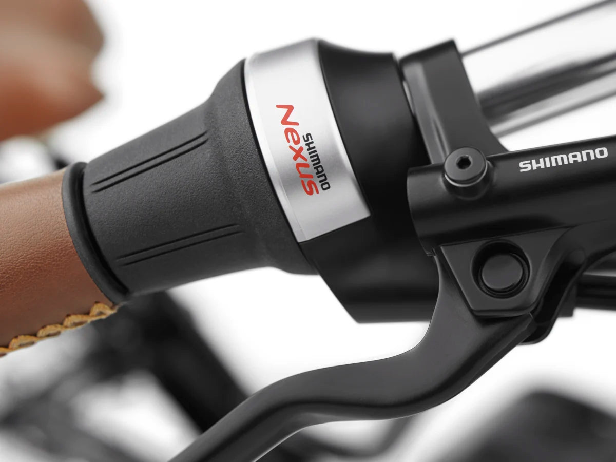 Electra Townie Commute Go! 5i EQ Step-Thru