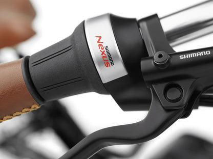 Electra Townie Commute Go! 5i EQ Step-Thru