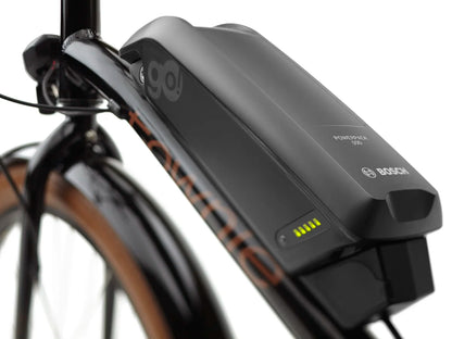 Electra Townie Go! 5i EQ Step-Over