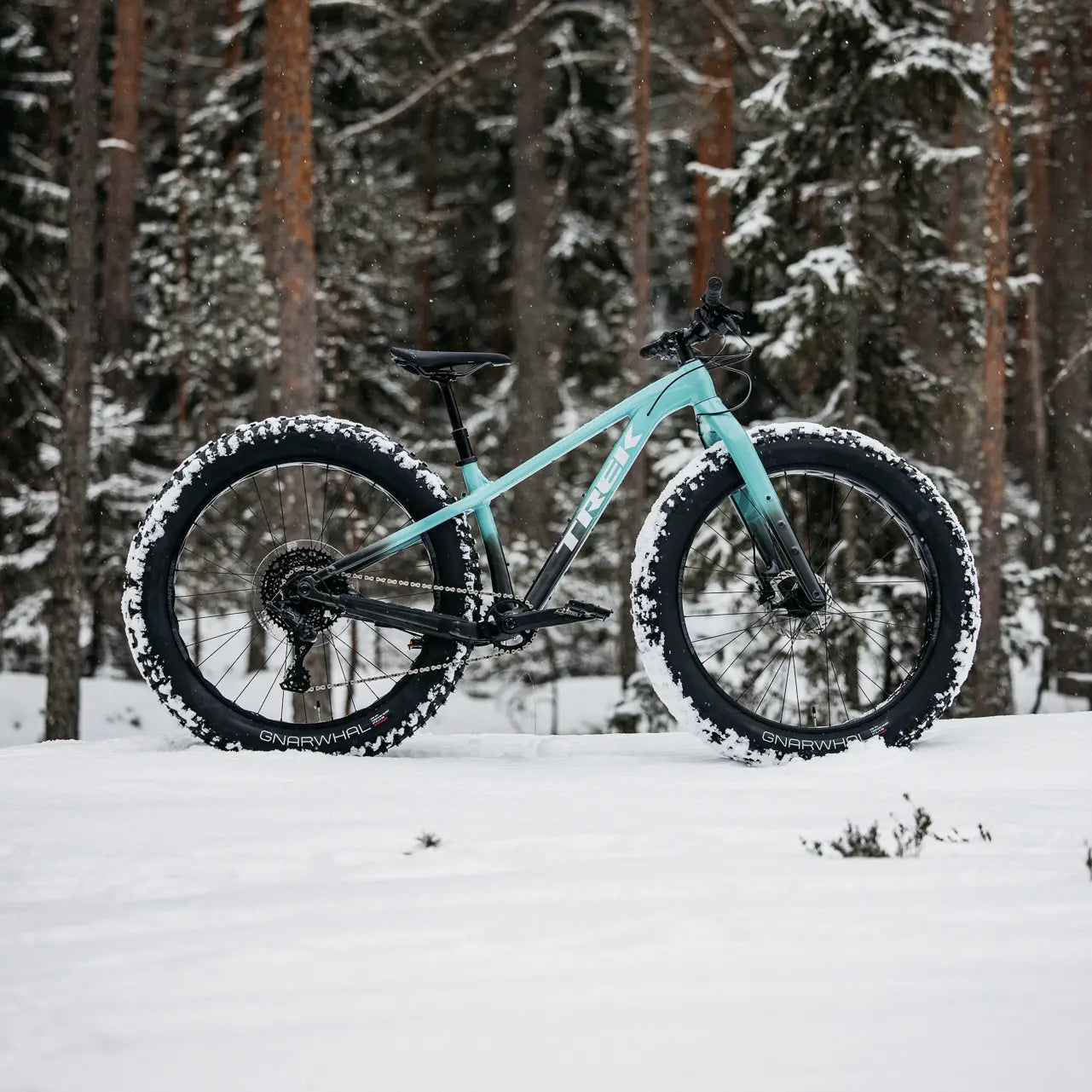 Trek Farley lumisessa maastossa neliö-kuva