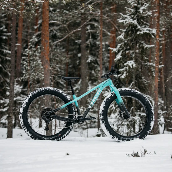 Trek Farley lumisessa maastossa pystykuva