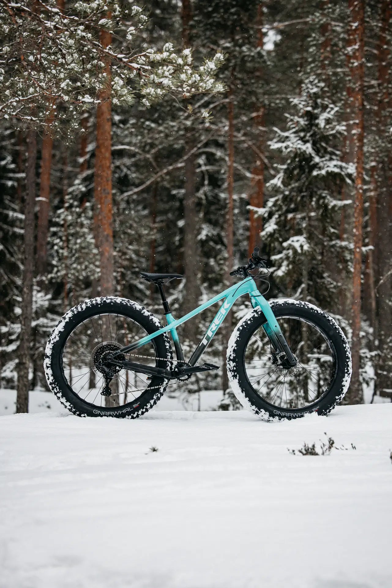 Trek Farley lumisessa maastossa pystykuva