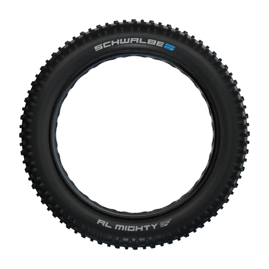 SCHWALBE Al Mighty EVO Folding tire 26" 4,80" (120-559)