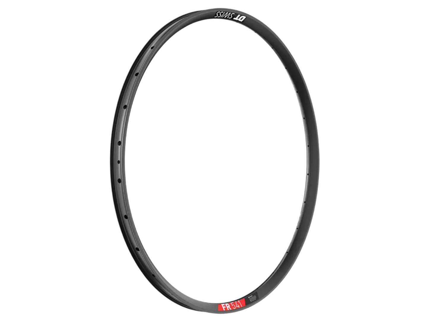 DT SWISS Rim FR 541 29"