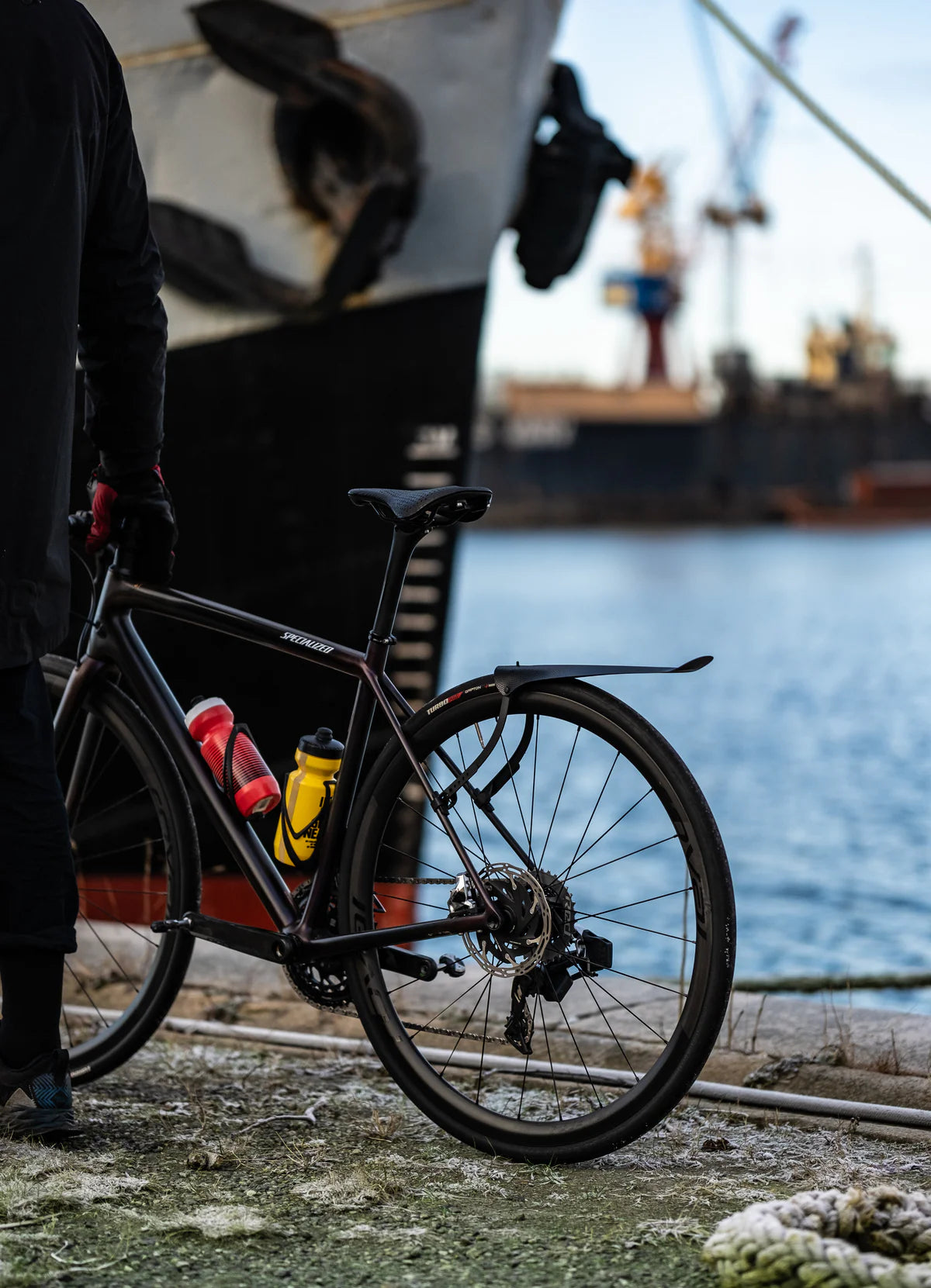 Ass Savers Win Wing 2 Road